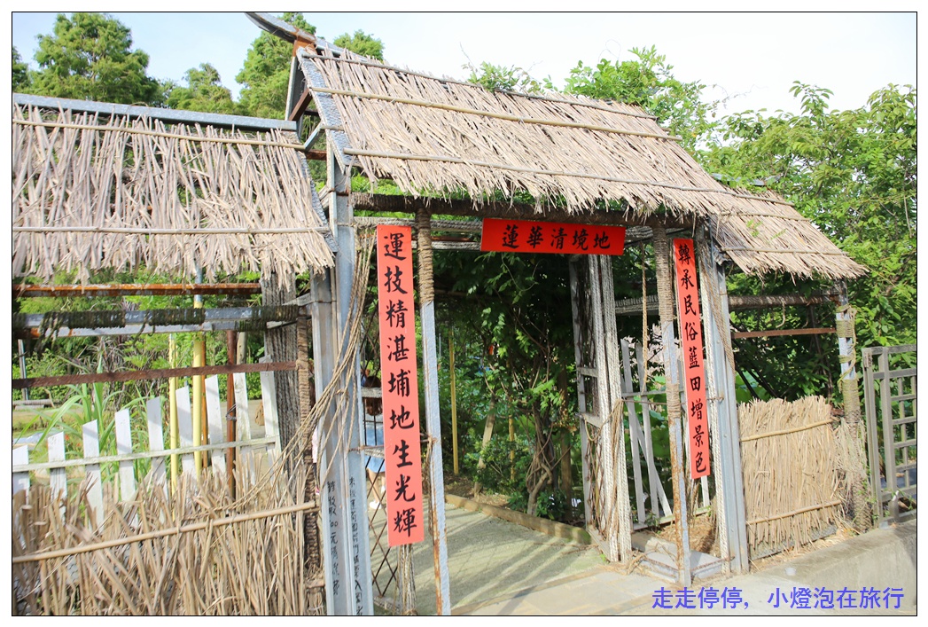 暑假桃園親子一日小旅行｜2017桃園蓮花季。蓮花生態探訪。林家古厝獨家布袋戲。