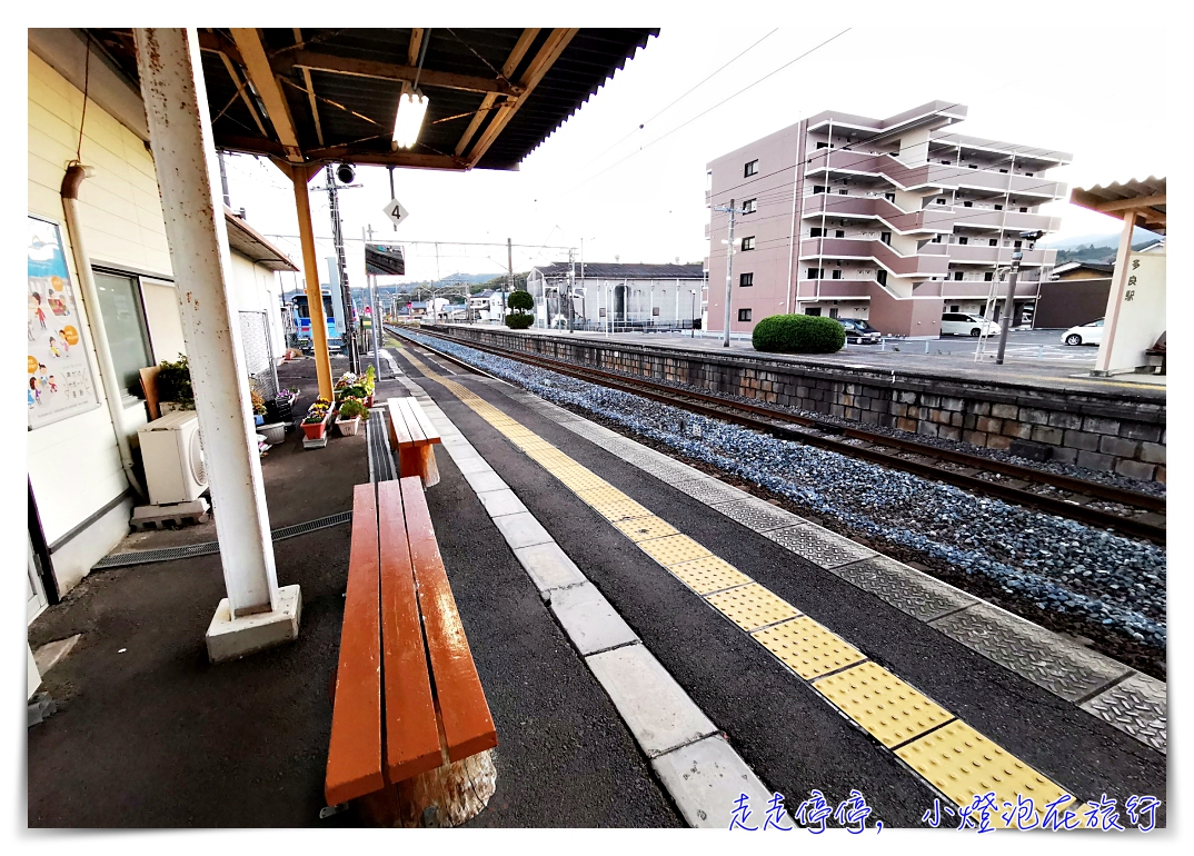 九州佐賀｜多良太良町海上鳥居。遺世的幸運鳥居秘境景點～