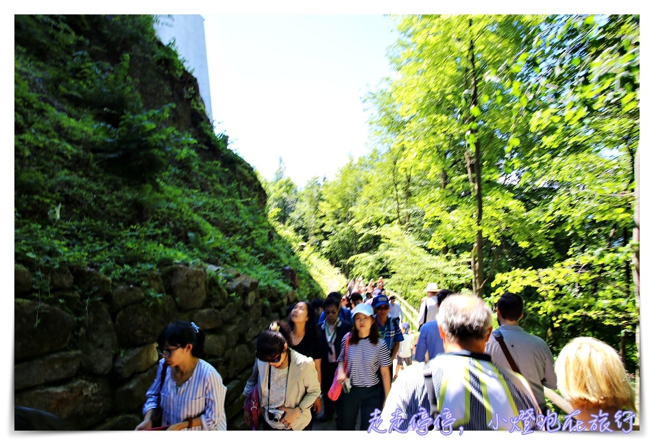 德國第一名景點｜新天鵝堡Schloß Neuschwanstein一日旅行，慕尼黑搭乘交通工具出發、時間安排全建議～