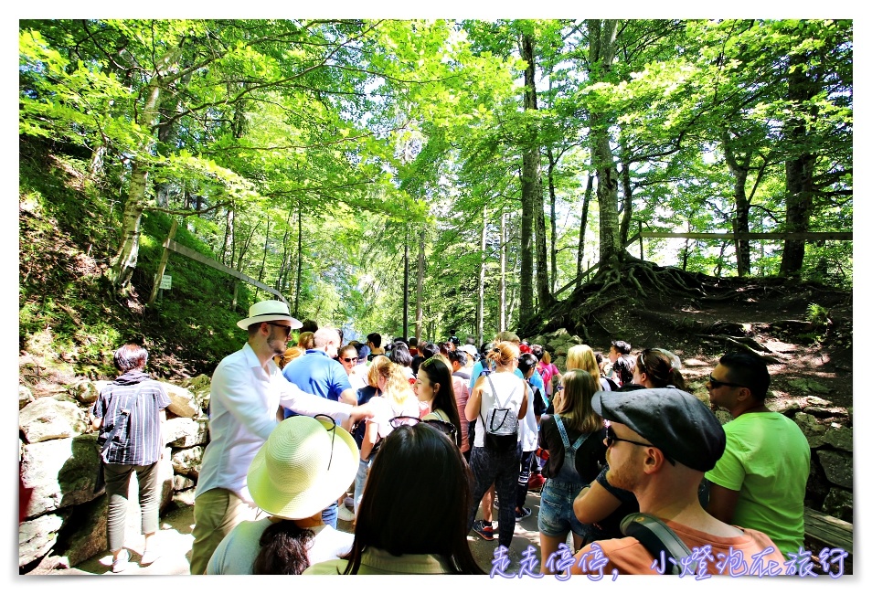 德國第一名景點｜新天鵝堡Schloß Neuschwanstein一日旅行，慕尼黑搭乘交通工具出發、時間安排全建議～