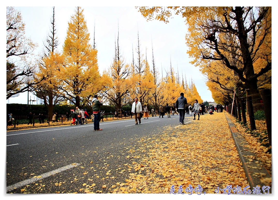 東京自由行一日行程懶人包｜經典的東京冬日行程概覽，景點、採購、交通、上網，快閃東京也可以～