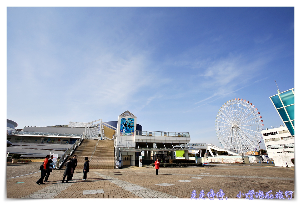 名古屋港水族館｜日本最大海豚虎鯨表演場，親子名古屋歡樂景點～（圖超多。超精彩行程）