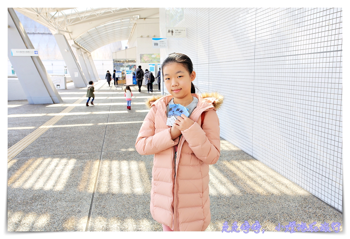 名古屋港水族館｜日本最大海豚虎鯨表演場，親子名古屋歡樂景點～（圖超多。超精彩行程）