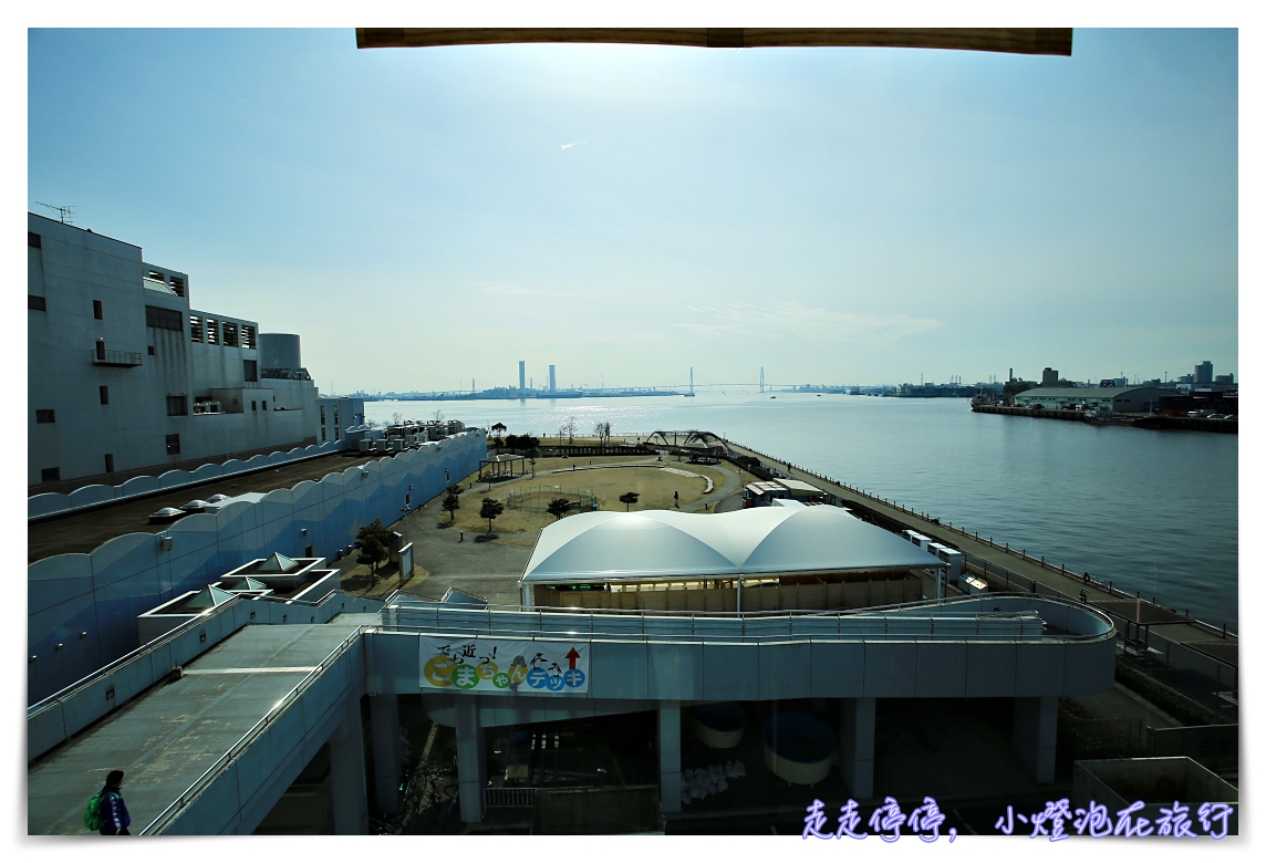 名古屋港水族館｜日本最大海豚虎鯨表演場，親子名古屋歡樂景點～（圖超多。超精彩行程）