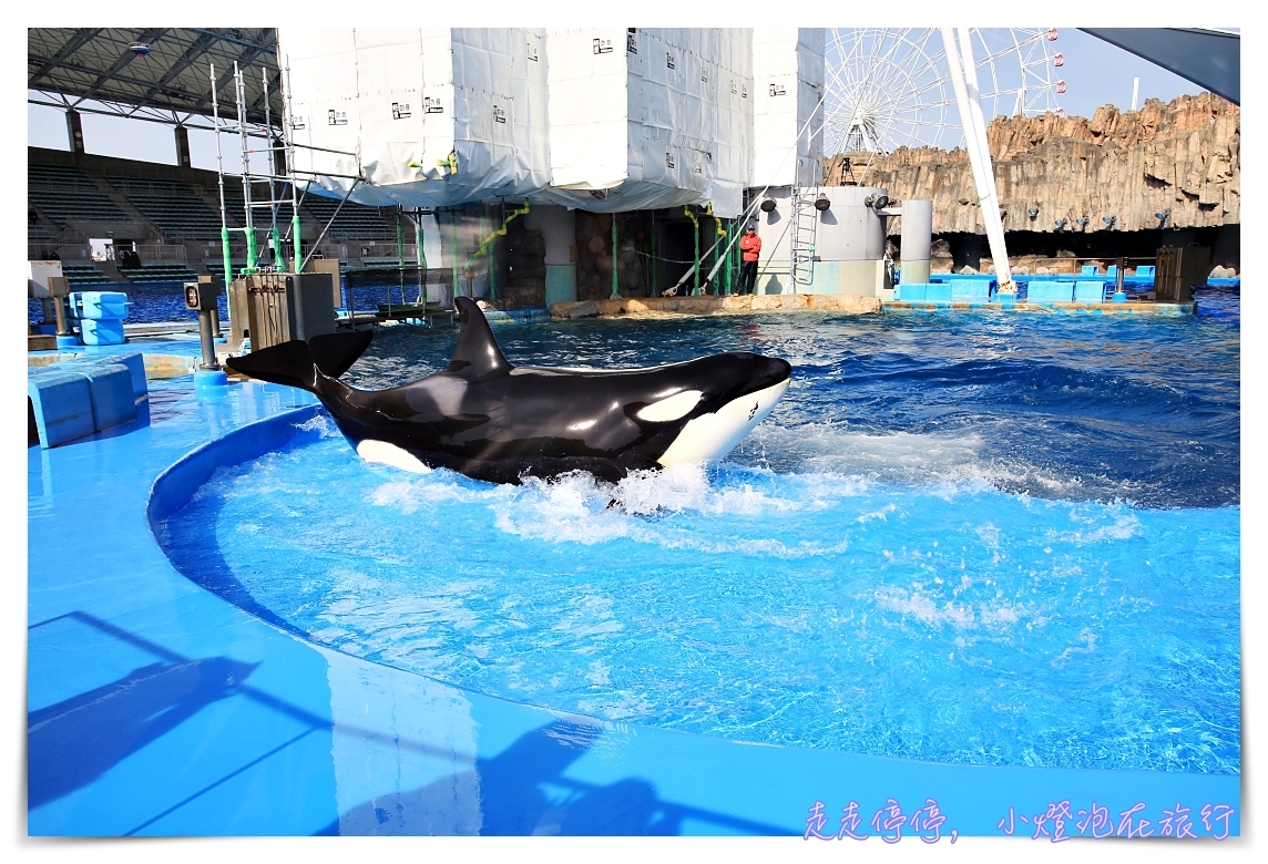 名古屋港水族館｜日本最大海豚虎鯨表演場，親子名古屋歡樂景點～（圖超多。超精彩行程）