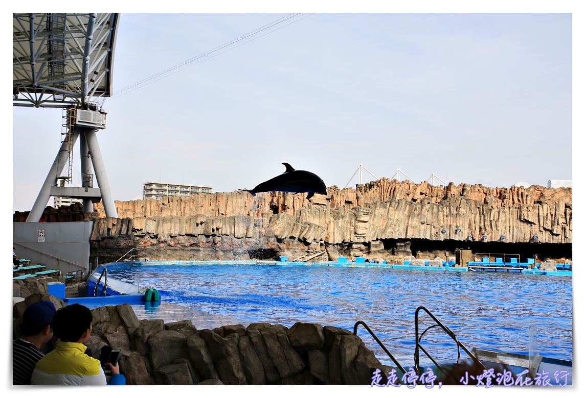 名古屋港水族館｜日本最大海豚虎鯨表演場，親子名古屋歡樂景點～（圖超多。超精彩行程）