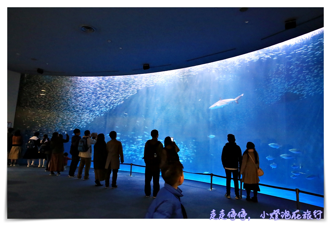 名古屋港水族館｜日本最大海豚虎鯨表演場，親子名古屋歡樂景點～（圖超多。超精彩行程）