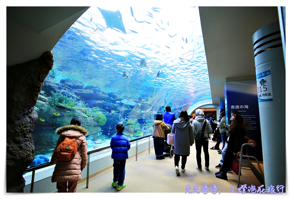 名古屋港水族館｜日本最大海豚虎鯨表演場，親子名古屋歡樂景點～（圖超多。超精彩行程）