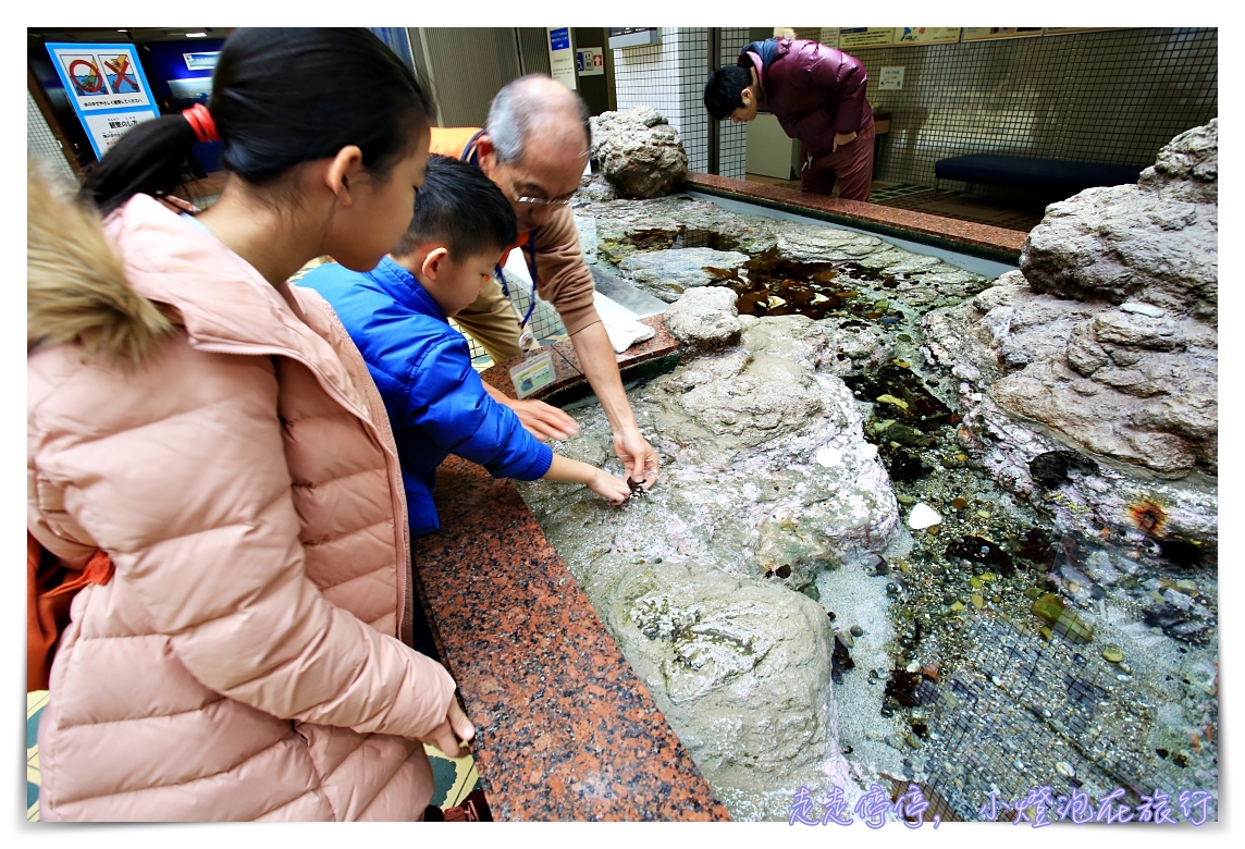 名古屋港水族館｜日本最大海豚虎鯨表演場，親子名古屋歡樂景點～（圖超多。超精彩行程）