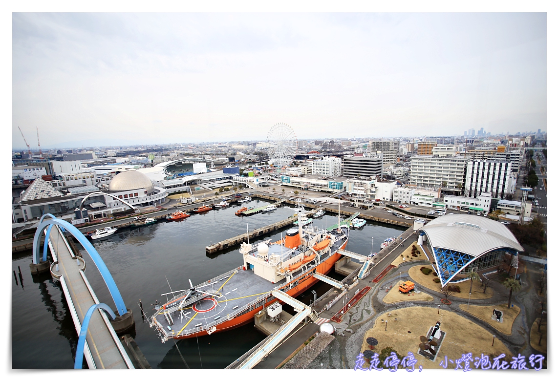 名古屋港水族館｜日本最大海豚虎鯨表演場，親子名古屋歡樂景點～（圖超多。超精彩行程）