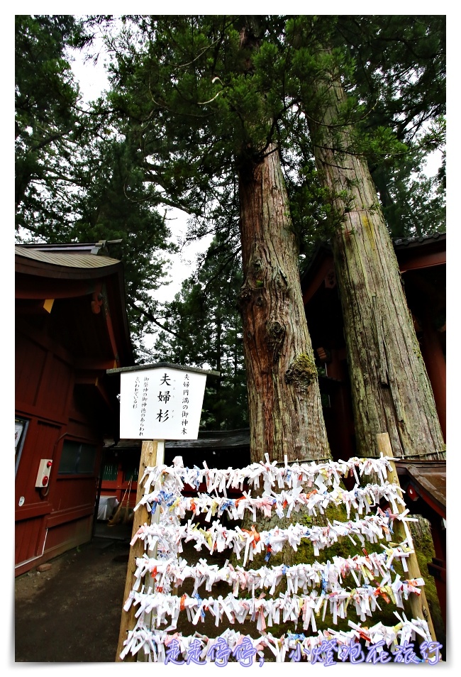 東京近郊｜日光交通、日光世界遺產巴士、日光東照宮半日遊