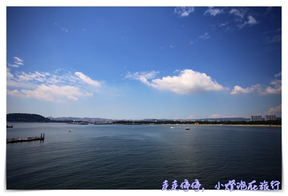 八景島海島樂園｜東京親子景點：橫濱水族館超精彩動人海洋劇場表演、生態互動區，東京近郊親子景點好去處～