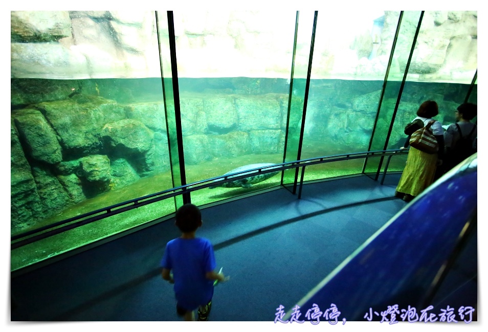 八景島海島樂園｜東京親子景點：橫濱水族館超精彩動人海洋劇場表演、生態互動區，東京近郊親子景點好去處～