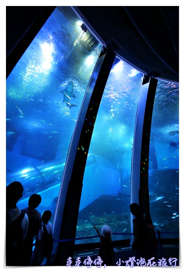 八景島海島樂園｜東京親子景點：橫濱水族館超精彩動人海洋劇場表演、生態互動區，東京近郊親子景點好去處～