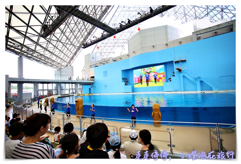 八景島海島樂園｜東京親子景點：橫濱水族館超精彩動人海洋劇場表演、生態互動區，東京近郊親子景點好去處～