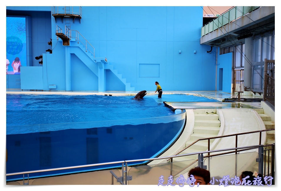 八景島海島樂園｜東京親子景點：橫濱水族館超精彩動人海洋劇場表演、生態互動區，東京近郊親子景點好去處～