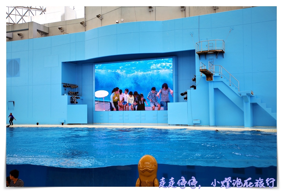 八景島海島樂園｜東京親子景點：橫濱水族館超精彩動人海洋劇場表演、生態互動區，東京近郊親子景點好去處～