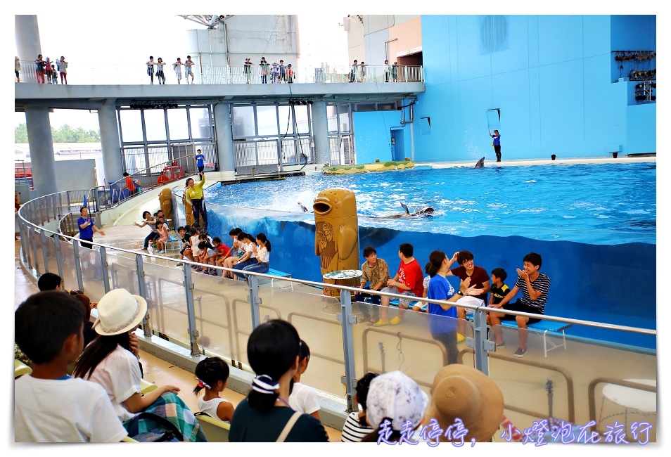 八景島海島樂園｜東京親子景點：橫濱水族館超精彩動人海洋劇場表演、生態互動區，東京近郊親子景點好去處～