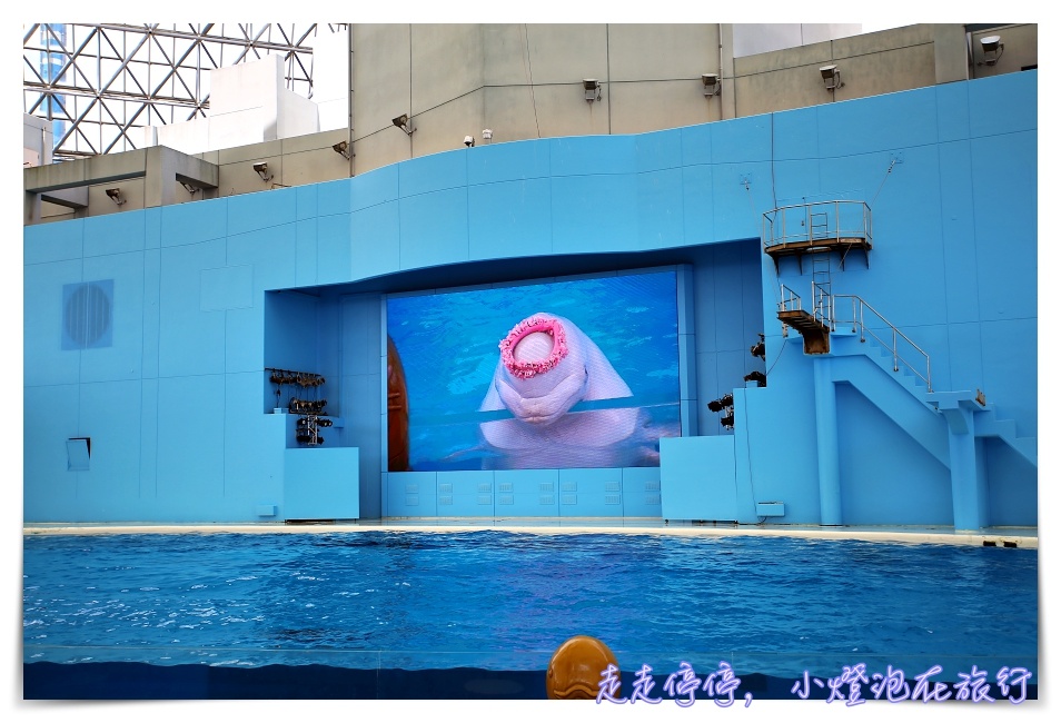 八景島海島樂園｜東京親子景點：橫濱水族館超精彩動人海洋劇場表演、生態互動區，東京近郊親子景點好去處～