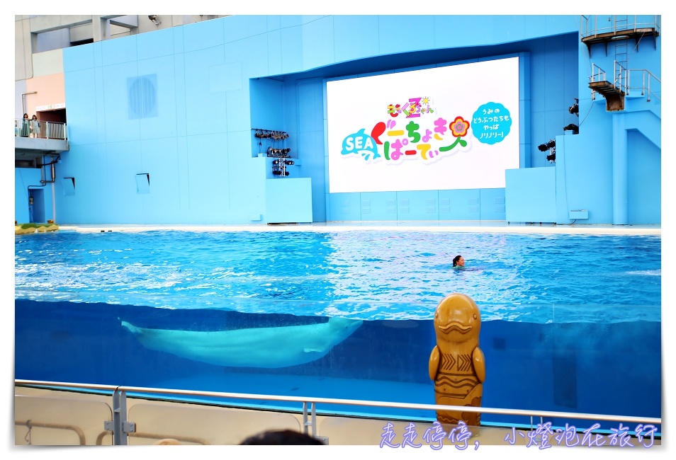 八景島海島樂園｜東京親子景點：橫濱水族館超精彩動人海洋劇場表演、生態互動區，東京近郊親子景點好去處～