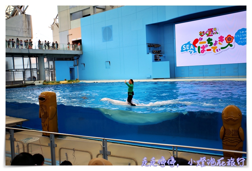 八景島海島樂園｜東京親子景點：橫濱水族館超精彩動人海洋劇場表演、生態互動區，東京近郊親子景點好去處～