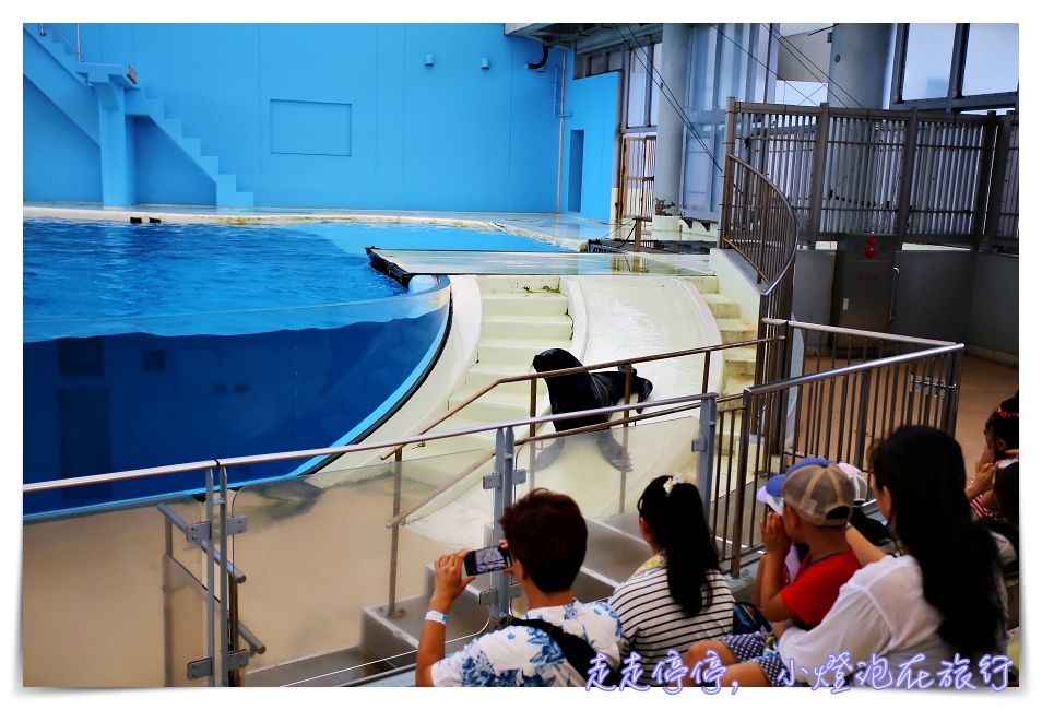 八景島海島樂園｜東京親子景點：橫濱水族館超精彩動人海洋劇場表演、生態互動區，東京近郊親子景點好去處～