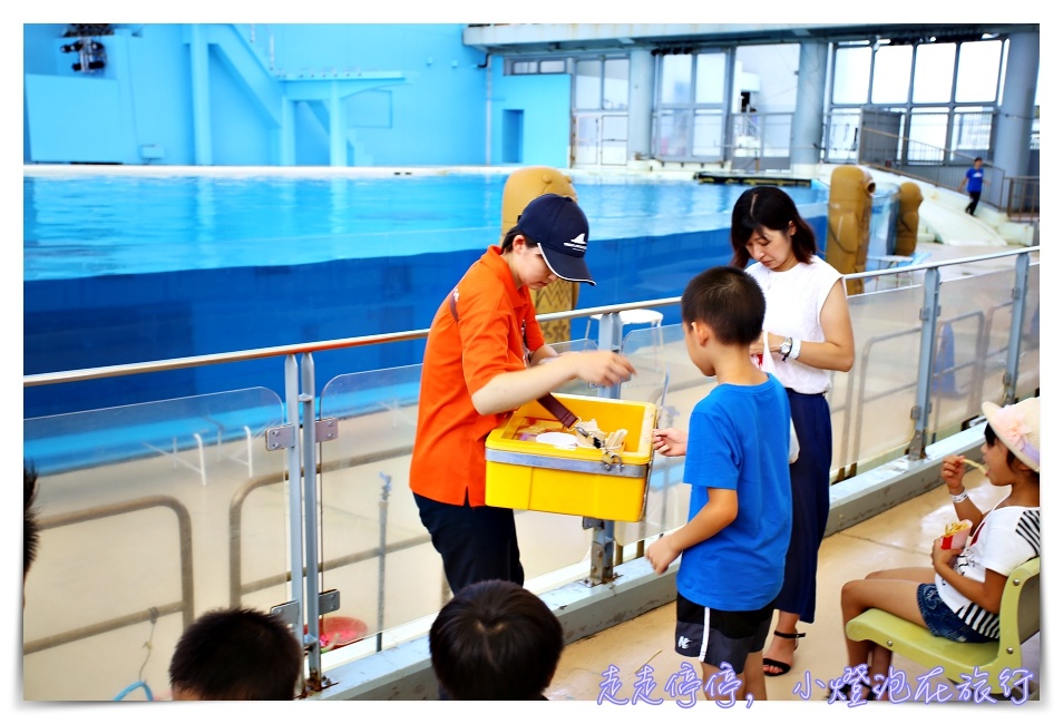 八景島海島樂園｜東京親子景點：橫濱水族館超精彩動人海洋劇場表演、生態互動區，東京近郊親子景點好去處～