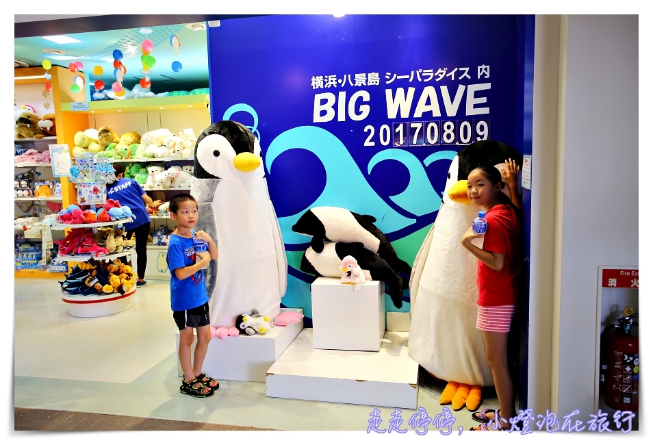 八景島海島樂園｜東京親子景點：橫濱水族館超精彩動人海洋劇場表演、生態互動區，東京近郊親子景點好去處～