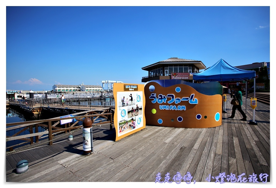 八景島海島樂園｜東京親子景點：橫濱水族館超精彩動人海洋劇場表演、生態互動區，東京近郊親子景點好去處～