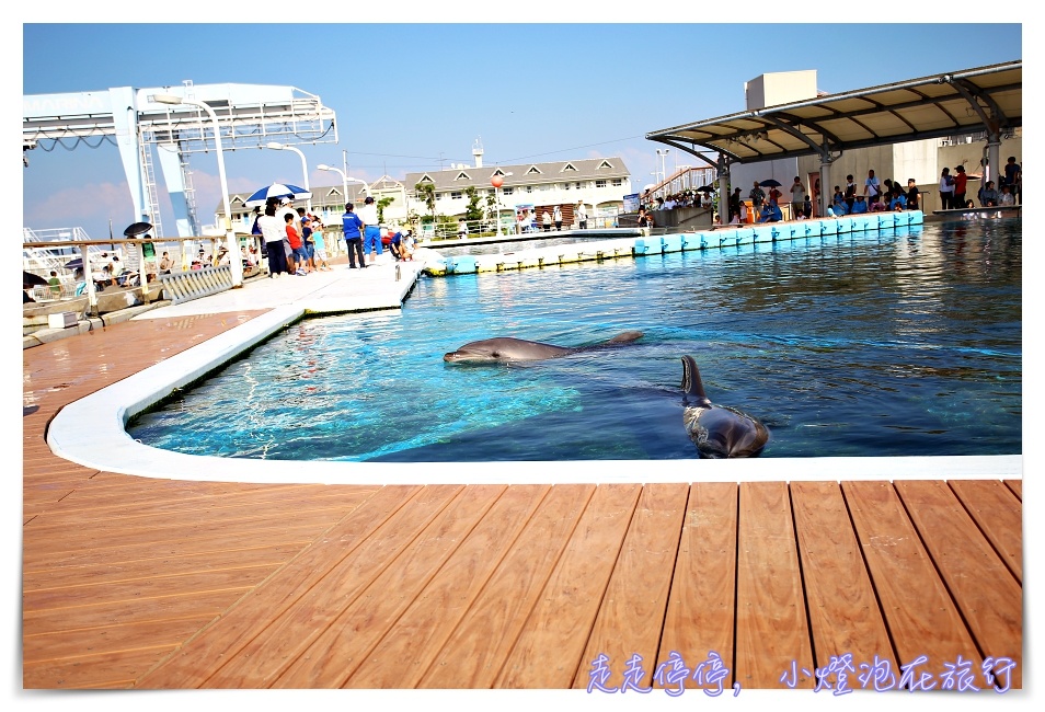 八景島海島樂園｜東京親子景點：橫濱水族館超精彩動人海洋劇場表演、生態互動區，東京近郊親子景點好去處～