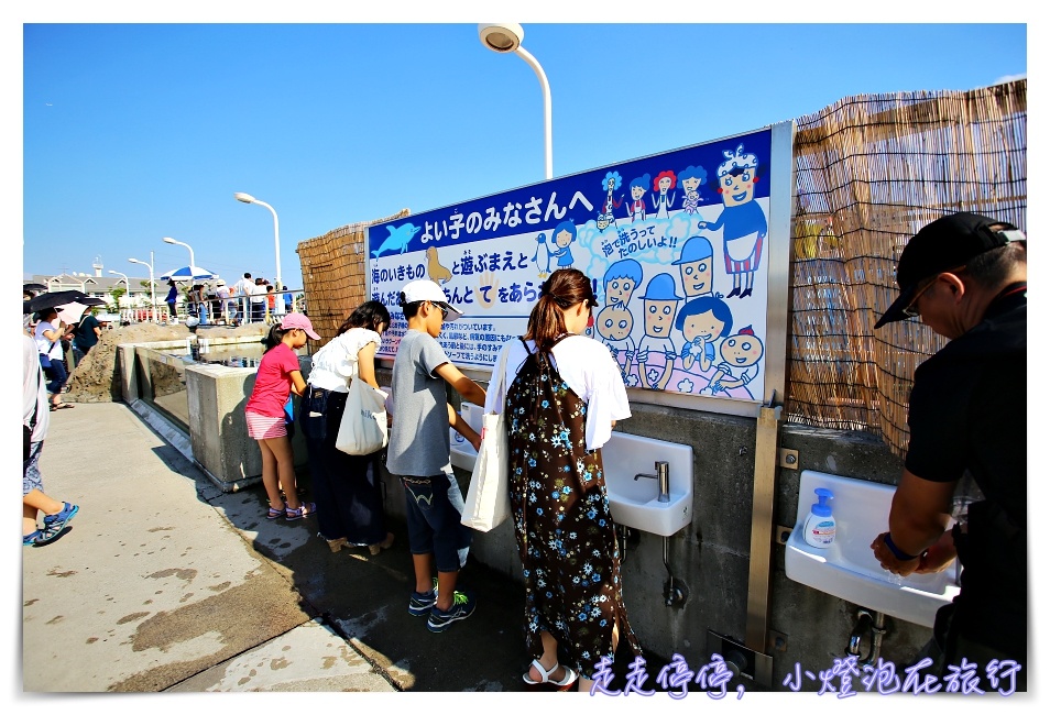 八景島海島樂園｜東京親子景點：橫濱水族館超精彩動人海洋劇場表演、生態互動區，東京近郊親子景點好去處～