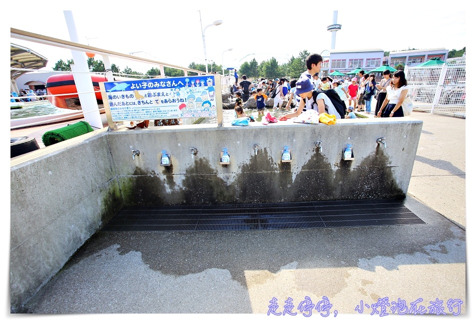 八景島海島樂園｜東京親子景點：橫濱水族館超精彩動人海洋劇場表演、生態互動區，東京近郊親子景點好去處～