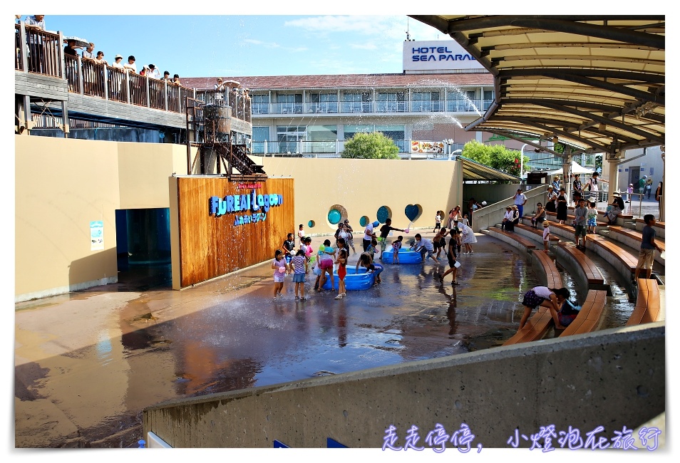 八景島海島樂園｜東京親子景點：橫濱水族館超精彩動人海洋劇場表演、生態互動區，東京近郊親子景點好去處～