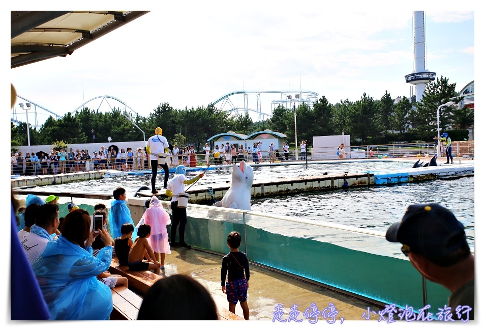 八景島海島樂園｜東京親子景點：橫濱水族館超精彩動人海洋劇場表演、生態互動區，東京近郊親子景點好去處～