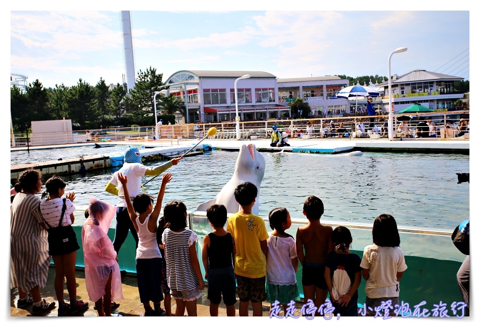 八景島海島樂園｜東京親子景點：橫濱水族館超精彩動人海洋劇場表演、生態互動區，東京近郊親子景點好去處～