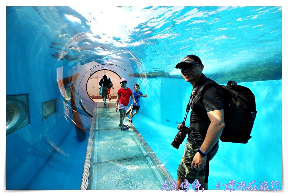 八景島海島樂園｜東京親子景點：橫濱水族館超精彩動人海洋劇場表演、生態互動區，東京近郊親子景點好去處～