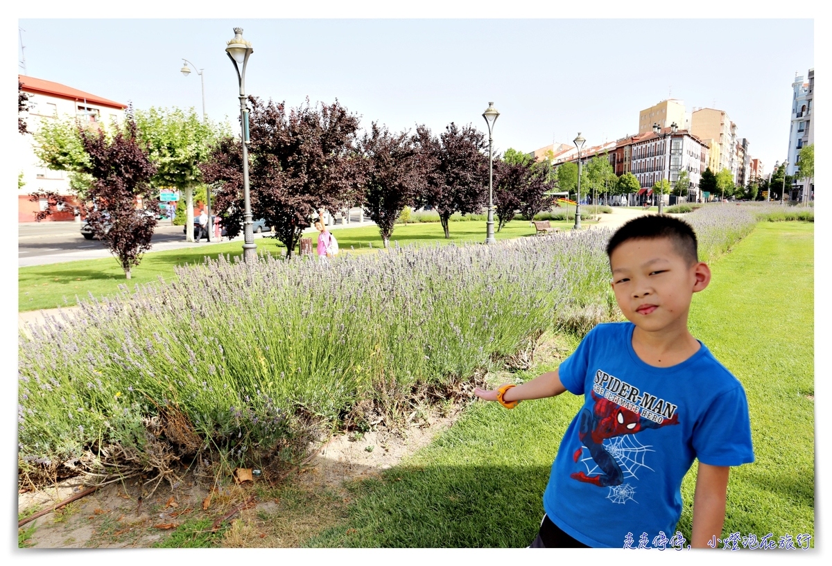 前往親子朝聖之路｜馬德里到華拉度列（Madrid to Valladolid）西班牙高鐵AVE初體驗