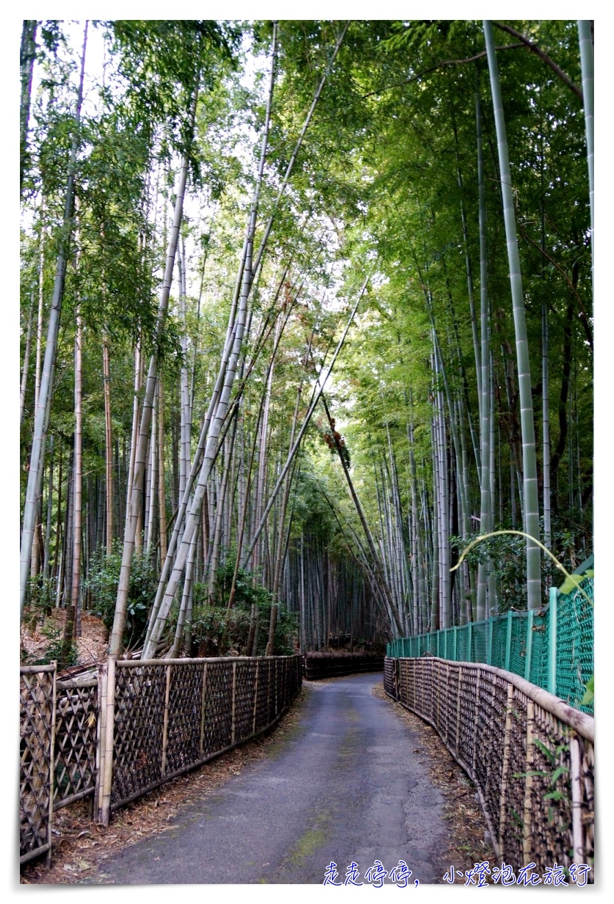 京都主題之旅｜竹の京都：長岡京，天滿宮、向日市商店街、單車旅行京都～全新京都旅行秘境新企劃～