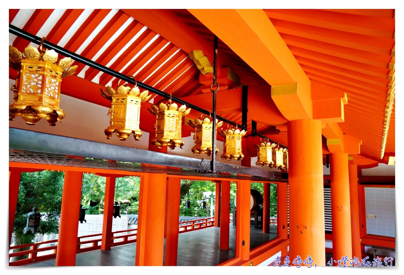 京都主題旅。茶之京都｜宇治、文化和束町茶園梯田、八幡神社、飛行神社～美好的抹茶日～