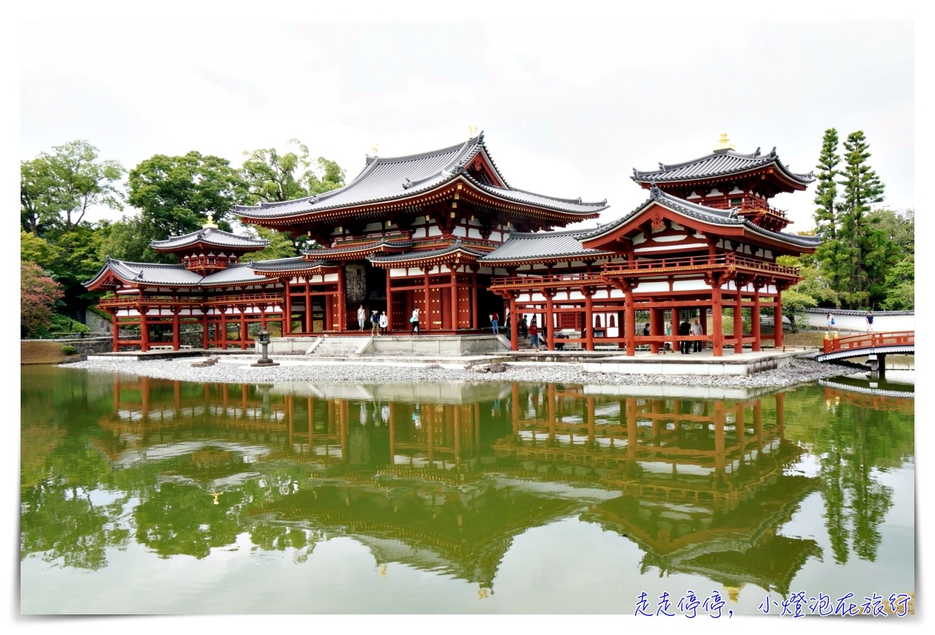 京都主題旅。茶之京都｜宇治、文化和束町茶園梯田、八幡神社、飛行神社～美好的抹茶日～