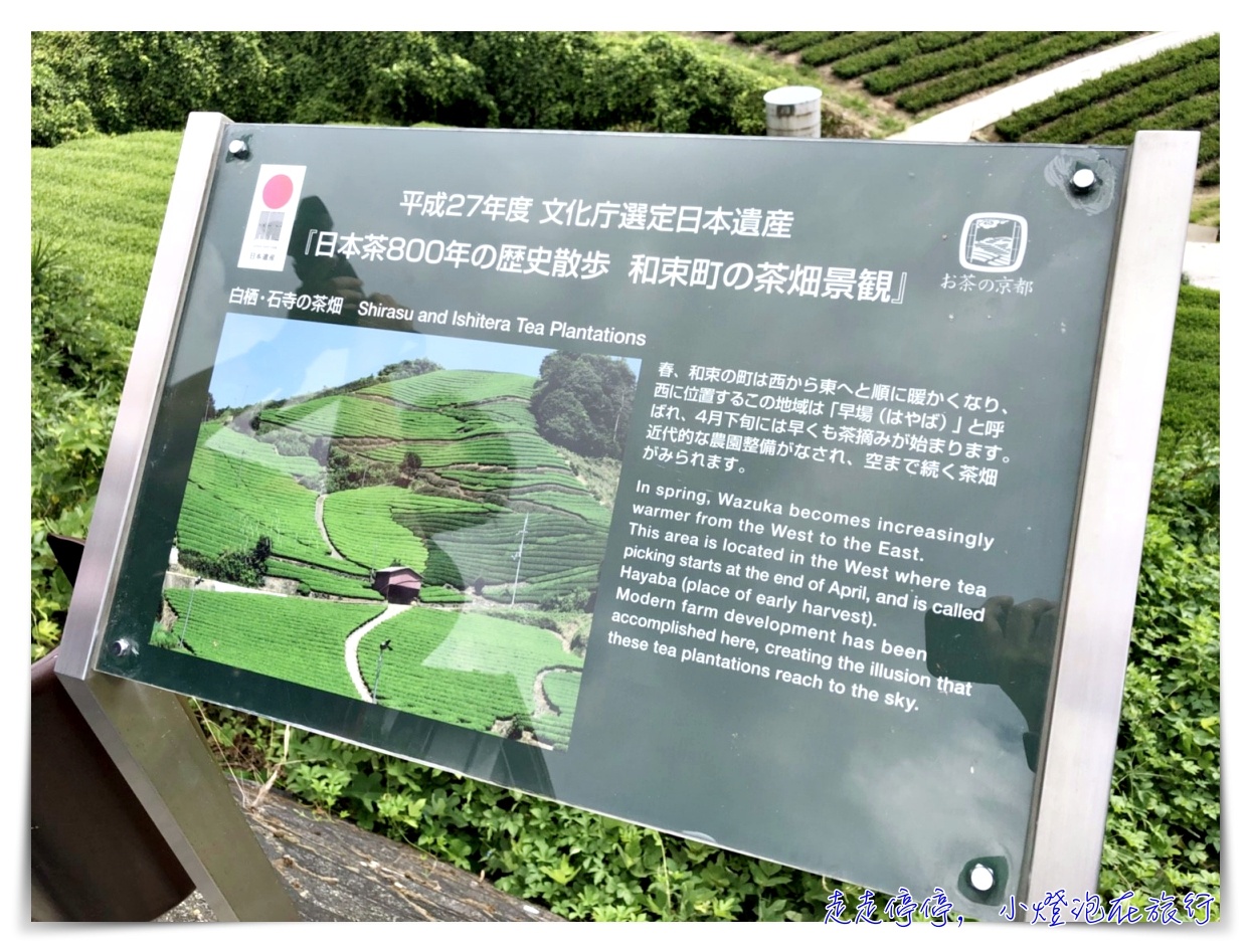 京都主題旅。茶之京都｜宇治、文化和束町茶園梯田、八幡神社、飛行神社～美好的抹茶日～