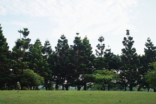 渴望會館｜龍潭親子住宿。環保疼惜地球的金級環保旅館，推動健康生活的新興度假旅館